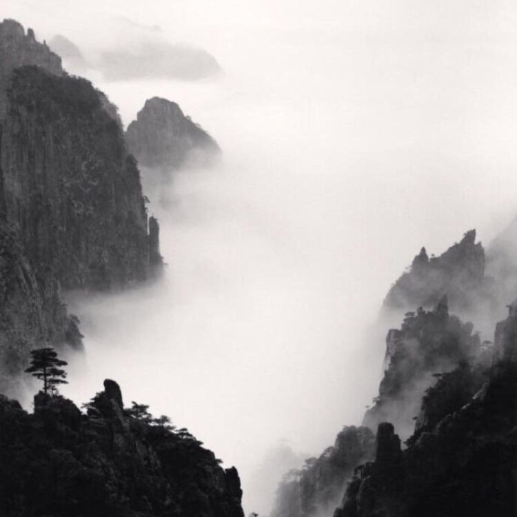 田中伟登（饰 明神弥彦） - 体育赛事直播在线观看 - 在线追剧